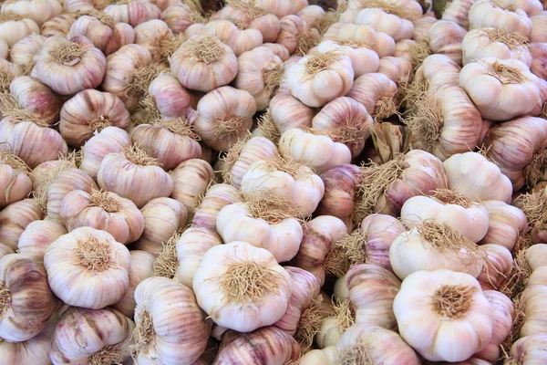 Verse knoflook op een markt — Stockfoto