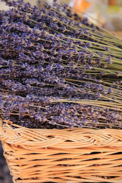 Lavendel im Weidenkorb — Stockfoto