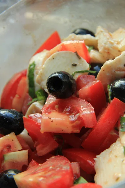 Tomaten-Käse-Salat — Stockfoto