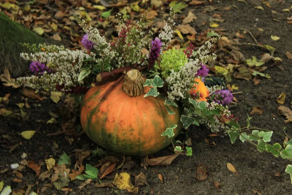 Decorated pumpkin — Stock Photo, Image