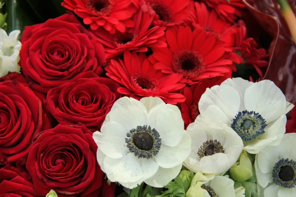 Rosas, gerberas e anémonas — Fotografia de Stock