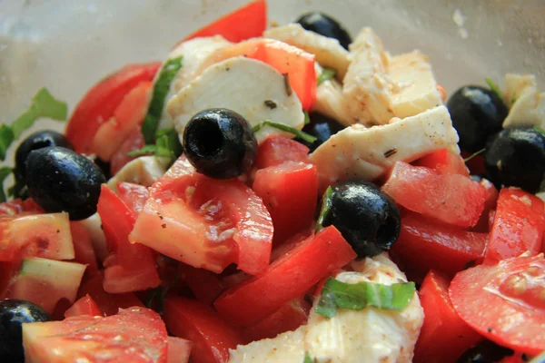 Tomato Cheese salad — Stock Photo, Image