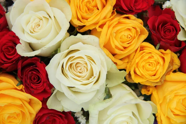 Žluté, bílé a červené růže v uspořádání svatební — Stock fotografie