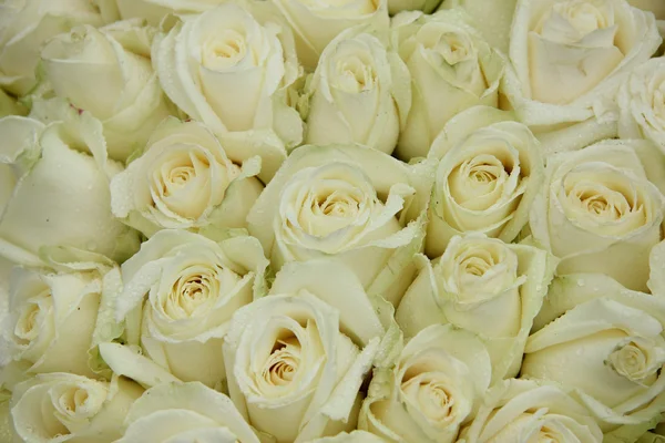 Gruppe weißer Hochzeitsblumen — Stockfoto