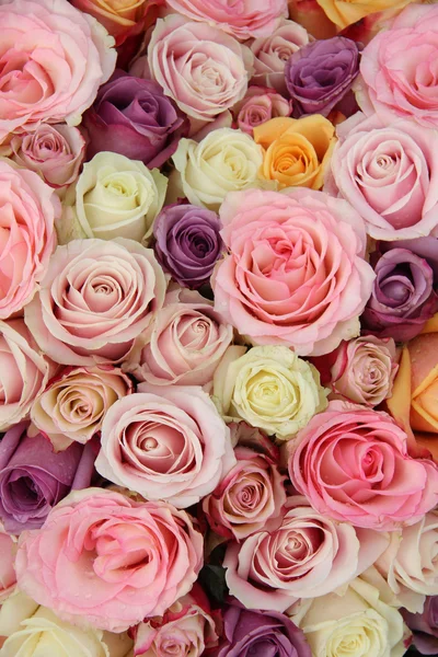 Pastel wedding roses — Stock Photo, Image