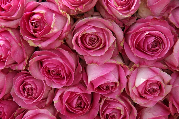 Rosas rosadas grandes en un centro de mesa de boda — Foto de Stock