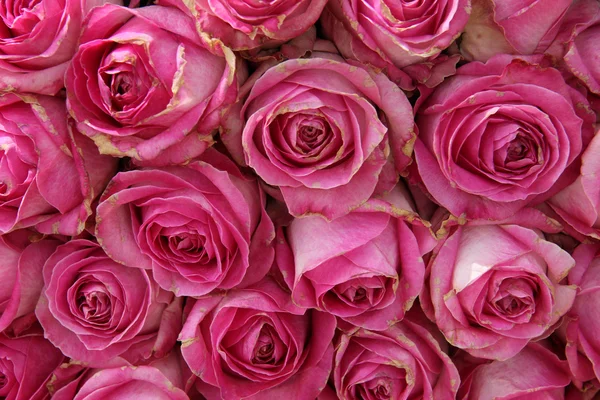 Big pink roses in a wedding centerpiece — Stock Photo, Image