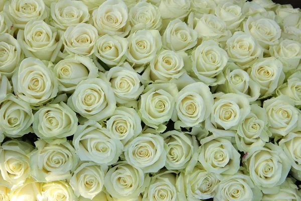 Grupa białych róż, ślubne dekoracje — Zdjęcie stockowe
