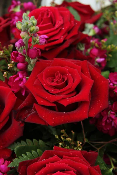Rött och rosa brud blommor — Stockfoto