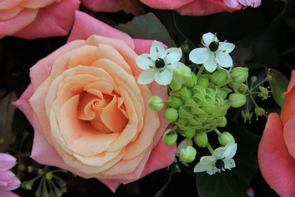 Flores de novia rosa — Foto de Stock