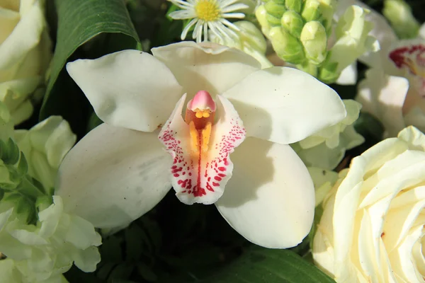 Orquídea en ramo nupcial —  Fotos de Stock