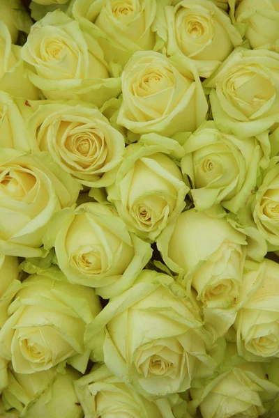 Gele rozen in een bruiloft arrangement — Stockfoto