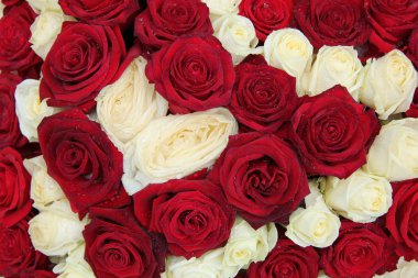 Kırmızı ve beyaz bir düğün Merkez