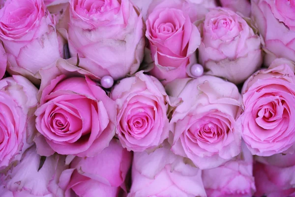 Rosas de casamento rosa — Fotografia de Stock