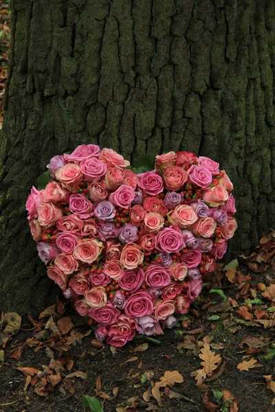 Flores de simpatía en forma de corazón —  Fotos de Stock