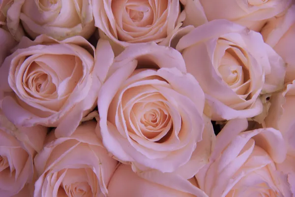 Χλωμό ροζ γαμήλια λουλούδια — Φωτογραφία Αρχείου