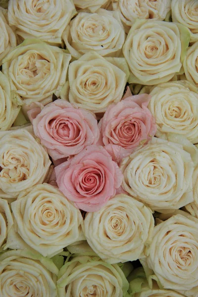 Bílé a růžové svatební růže — Stock fotografie