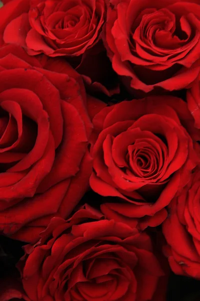 Rode rozen in een bruidsboeket — Stockfoto