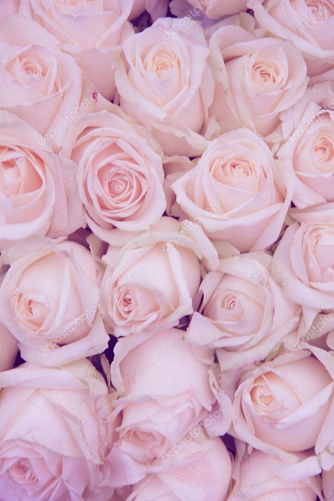 Fleurs De Mariage Rose Pale Image Libre De Droit Par Portosabbia C