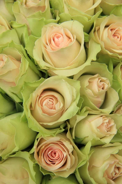 Blassrosa Rosen in einem Hochzeitsarrangement — Stockfoto