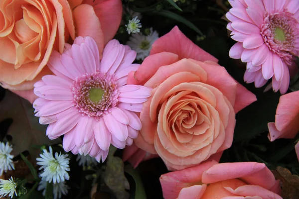 Flores de novia rosa — Foto de Stock