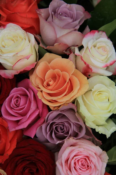 Rose da sposa miste — Foto Stock