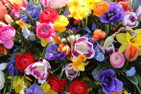 Frühlingsblumen in leuchtenden Farben — Stockfoto