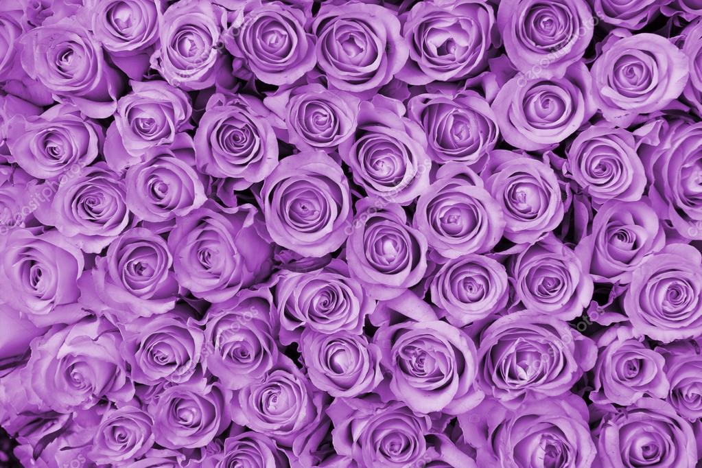 Purple wedding arrangement Stock Photo by ©portosabbia 37768413