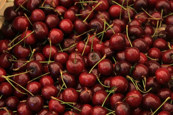 Cerejas — Fotografia de Stock