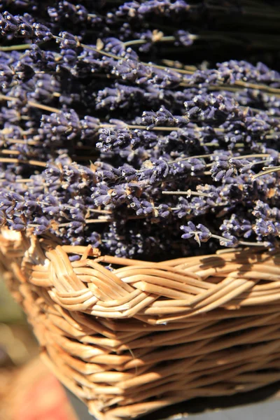 Lavendel i en flätad korg — Stockfoto