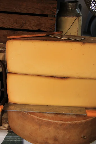 Peynir provencal pazarı — Stok fotoğraf