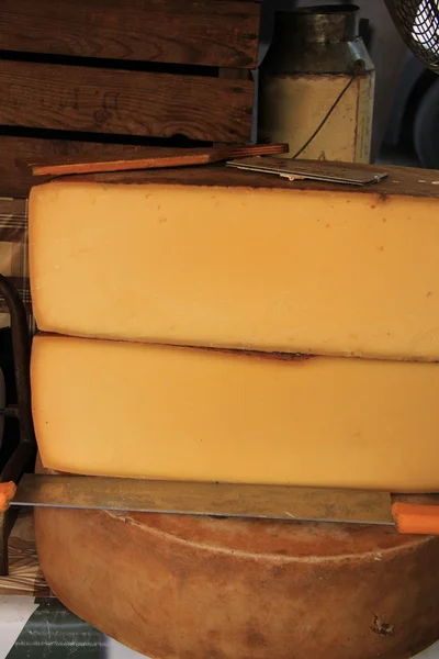 Fromage dans un marché provençal — Photo