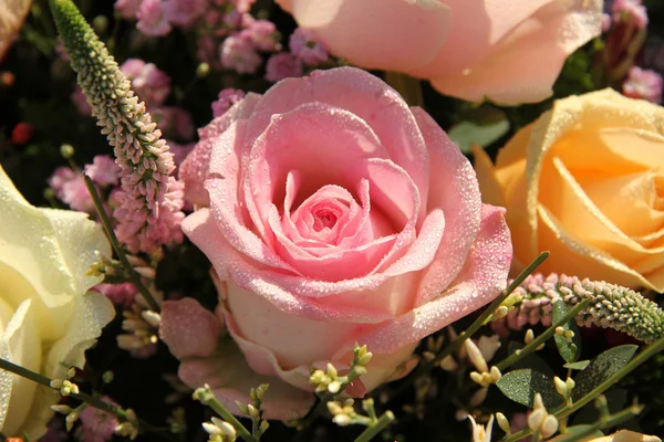 Hochzeitsblumen: verschiedene Schattierungen von rosa Rosen — Stockfoto