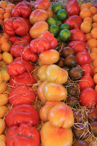 Pomodori in vari colori — Foto Stock