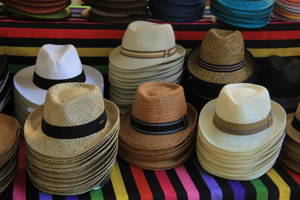 Cappelli panama — Foto Stock