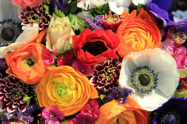 Jarní kytici v jasných barvách — Stock fotografie