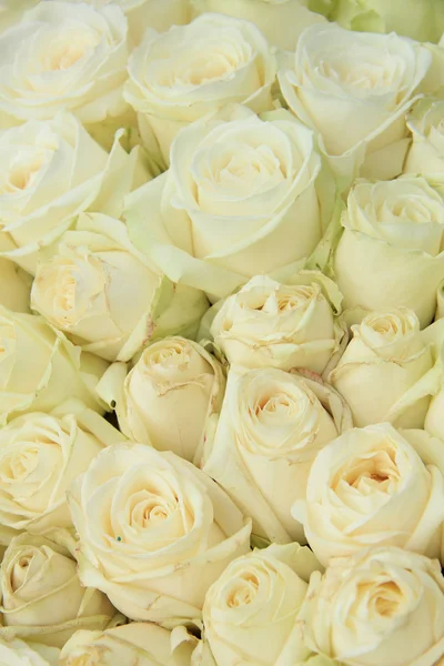 Witte rozen in een bruiloft arrangement — Stockfoto