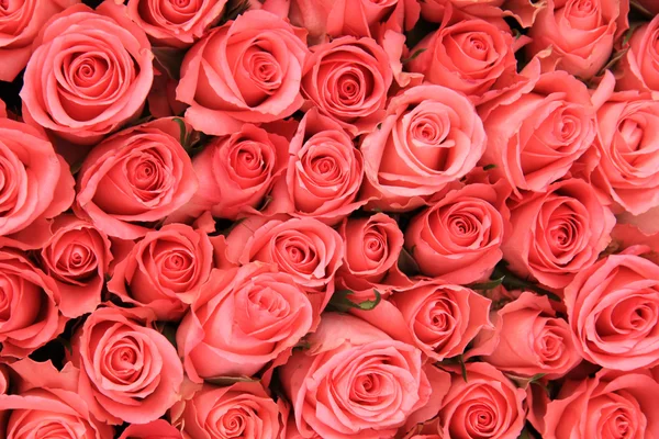 Rosa-de-rosa em um arranjo nupcial — Fotografia de Stock