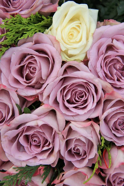Paarse rozen in een bruiloft arrangement — Stockfoto