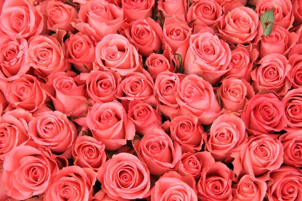 Ροζ τριαντάφυλλα σε ένα νυφικό ρύθμιση — Φωτογραφία Αρχείου