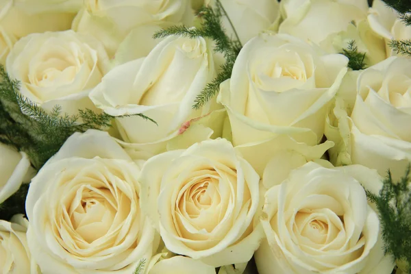 Witte rozen in een bruiloft arrangement — Stockfoto