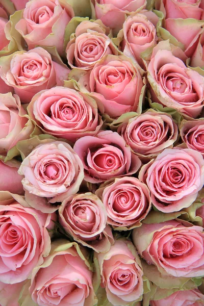 Pink roses in a wedding arrangement — Stock Photo, Image