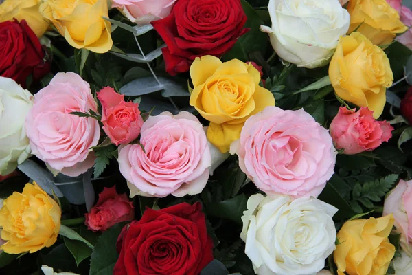 Mixed roses — Stock Photo, Image