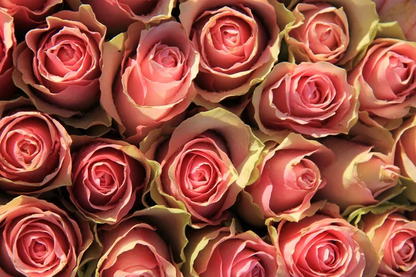 Rosas rosadas en un arreglo nupcial —  Fotos de Stock