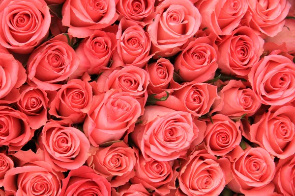粉色的玫瑰，在新娘的安排 — 图库照片