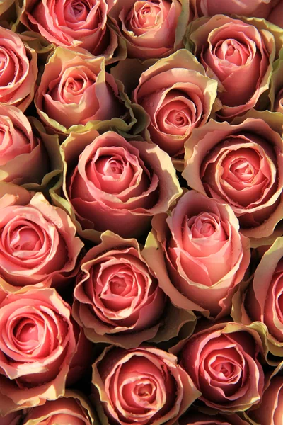 Rózsaszín rózsák-a menyasszonyi elrendezése — Stock Fotó