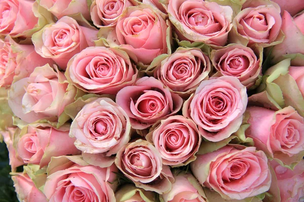 Růžové růže v uspořádání svatební — Stock fotografie