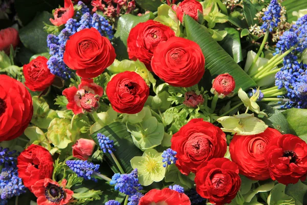 Flores da primavera em vermelho e azul — Fotografia de Stock