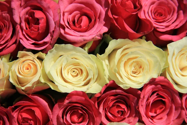 Rosas cor-de-rosa em diferentes tons em arranjo de casamento — Fotografia de Stock