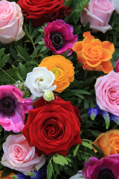 Helder gekleurde bruids bloemen — Stockfoto